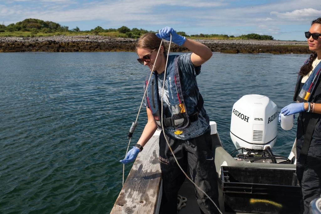 一位海洋科学专业的学生正准备测试海水